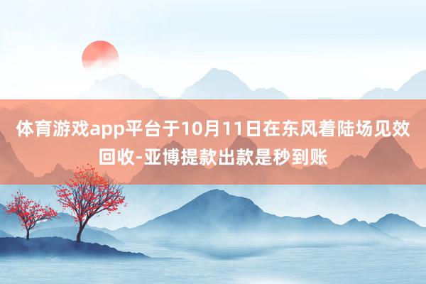 体育游戏app平台于10月11日在东风着陆场见效回收-亚博提款出款是秒到账