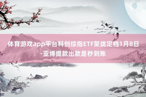 体育游戏app平台科创综指ETF聚拢定档1月8日-亚博提款出款是秒到账